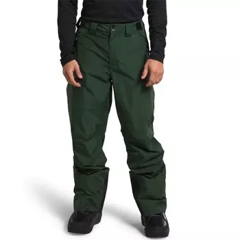 Брюки The North Face Dawnstrike GORE-TEX, цвет Pine Needle