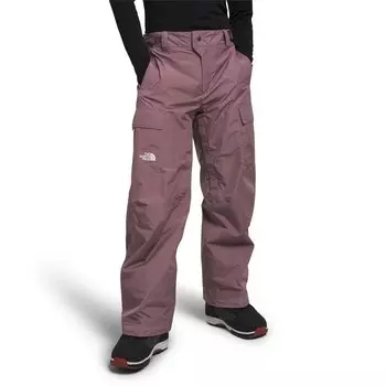 Брюки The North Face Raadik GORE-TEX, цвет Fawn Grey