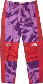 Брюки The North Face x KAWS Mountain Light Pant 'Pamplona Purple', фиолетовый