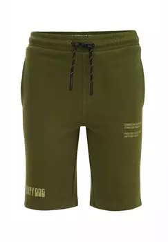 Брюки тренировочного костюма Salty Dog WE Fashion, зеленые