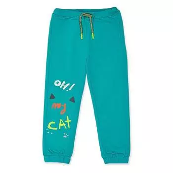 Брюки Tuc Tuc Cattitude, зеленый