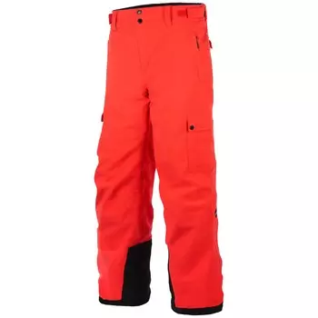 Брюки утепленные Planks Good Times, красный