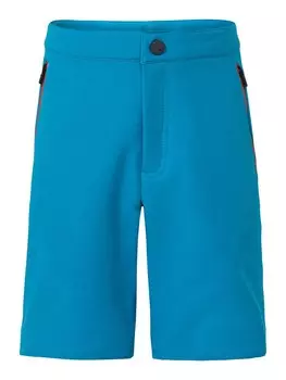 Брюки VAUDE Regular Outdoor Pants Badile II, цвет Azure