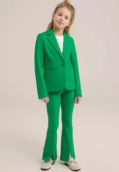 Брюки WE Fashion, цвет green