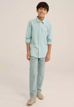 Брюки WE Fashion, цвет grn