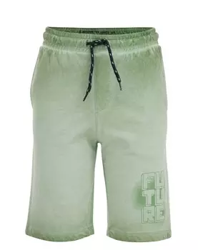 Брюки WE Fashion Regular Pants, зеленый/пастельно-зеленый