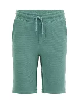 Брюки WE Fashion Slim fit Pants, зеленый