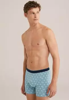 Брюки WE Fashion, светло-голубой