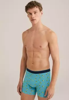 Брюки WE Fashion, светло-голубой