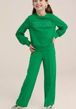 Брюки WE Fashion, зеленые