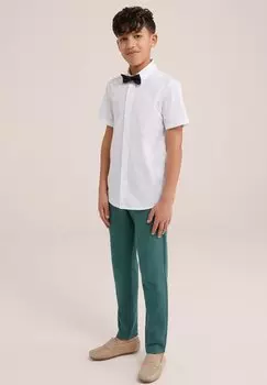 Брюки WE Fashion, зеленые