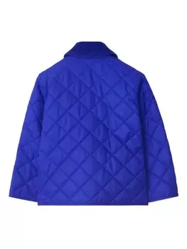 Burberry Kids стеганый пуховик, синий