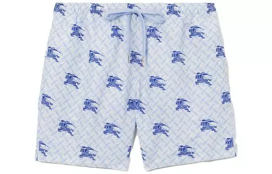 Burberry Мужские шорты для плавания, цвет Blue