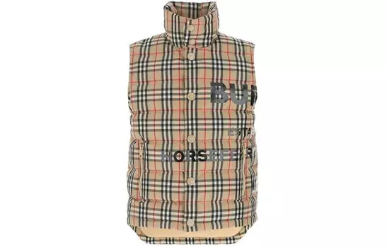 Burberry Мужской пуховик, цвет Brown