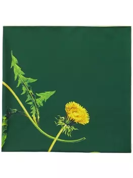 Burberry шарф Dandelion с цветочным принтом, зеленый