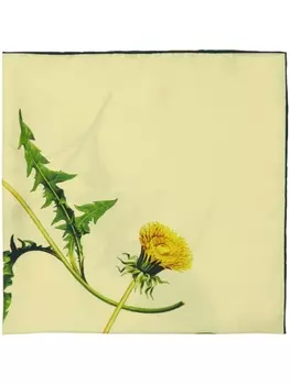 Burberry шарф Dandelion с цветочным принтом, желтый