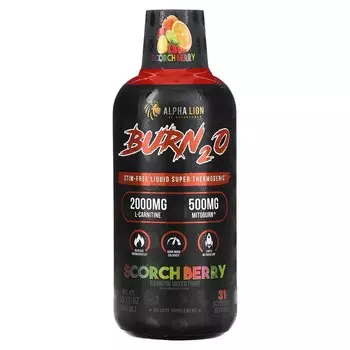 Burn2O, Scorch Berry, Радужная фруктовая смесь, 15,72 унции (465 мл) Alpha Lion