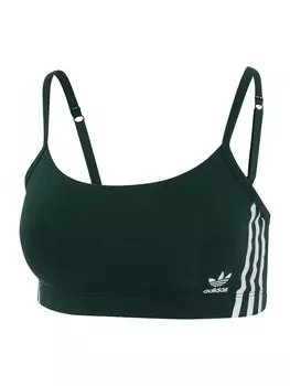 Бюстгальтер без косточек ADIDAS ORIGINALS Scoop Originals, темно-зеленый