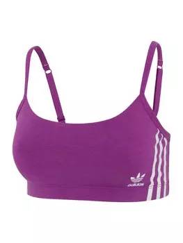 Бюстгальтер без косточек ADIDAS ORIGINALS Scoop Originals, фиолетовый