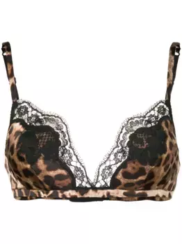 Бюстгальтер с леопардовым принтом DOLCE & GABBANA, коричневый