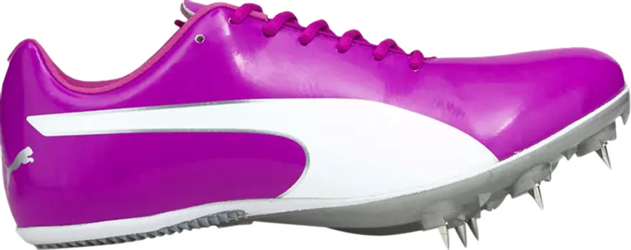 Бутсы Puma evoSpeed Sprint 10 Deep Orchid White, фиолетовый