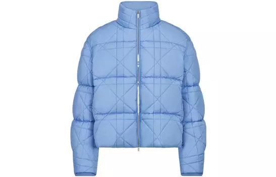 BY ERL Куртка мужская синяя Dior, синий