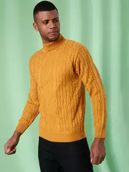 Campus Sutra Мужские стильные однотонные повседневные свитера, черный