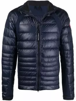 Canada Goose стеганый пуховик, синий