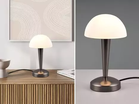 CANARIA настольная лампа черный/хром R59561120 Reality Leuchten