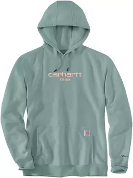 Толстовка Carhartt Lightweight Logo Graphic, зеленый