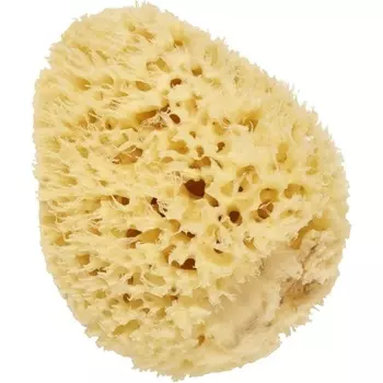 Cartel Natural Sea Sponge Vitry