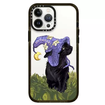 CASETIFY Чехол для телефона, Transparent - black frame