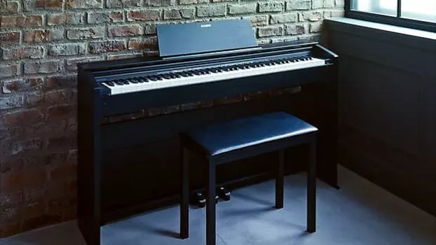Casio PX-870 Black - 88 Key Hammer Action Digital Piano - также доступно в ореховом или белом цвете