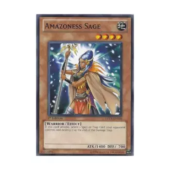 CCG Амазонка Мудрец (Обычный), Yu-Gi-Oh - Duelist Revolution - Singles