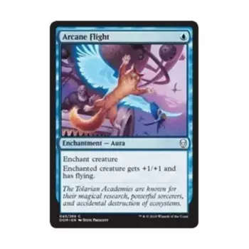 CCG Чародейский полет (С), MTG - Dominaria