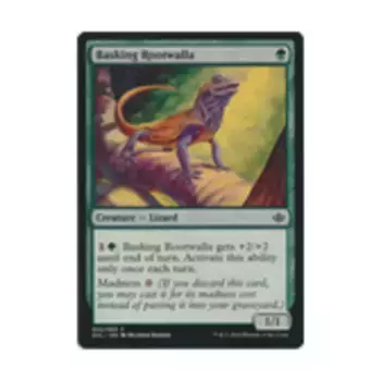 CCG Греющаяся корневая валла (клавиша C), MTG - Duel Decks - Anthology