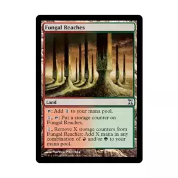 CCG Грибные просторы (U), MTG - Time Spiral