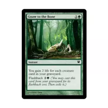 CCG Грызть до костей (С), MTG - Innistrad