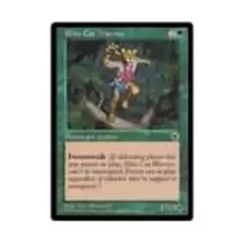 CCG Элитный Кот-Воин - Вер. 1 (С), MTG - Portal