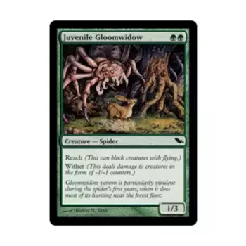 CCG Юная Мрачная Вдова (C), MTG - Shadowmoor