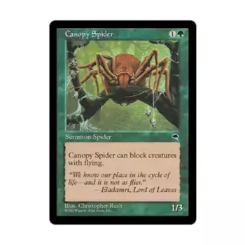 CCG Капюшонный паук (С), MTG - Tempest