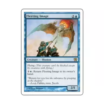 CCG Мимолетный образ (клавиша R), MTG - 9th Edition