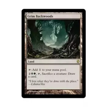 CCG Мрачная глушь (клавиша R), MTG - Commander 2013