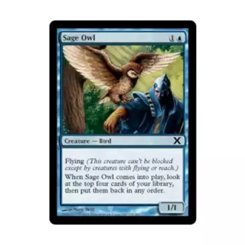 CCG Мудрая сова (С), MTG - 10th Edition