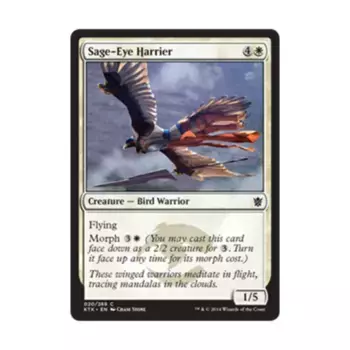 CCG Мудроглазый лунь (C), MTG - Khans of Tarkir