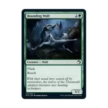 CCG Ограждающий волк (клавиша C), MTG - Innistrad - Midnight Hunt