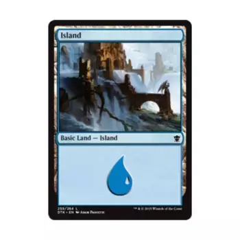 CCG Остров №255 (С), MTG - Dragons of Tarkir