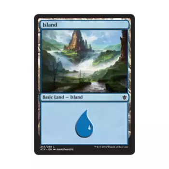 CCG Остров №257 (С), MTG - Khans of Tarkir