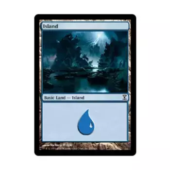 CCG Остров #289 (С), MTG - Time Spiral