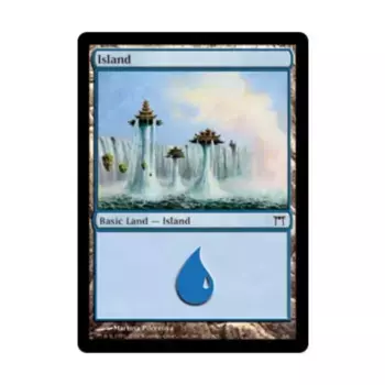 CCG Остров #292 (С), MTG - Champions of Kamigawa